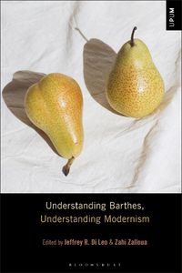 Cover image for Understanding Barthes, Understanding Modernism