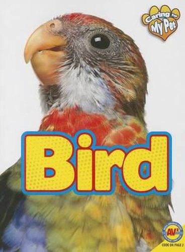 Cover image for Bird