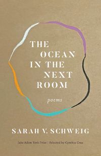 Cover image for The Ocean in the Next Room