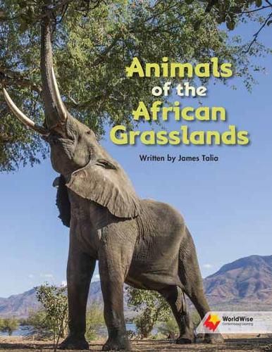 Cover image for Animals of the African Grasslands