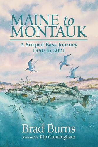 Cover image for Maine to Montauk