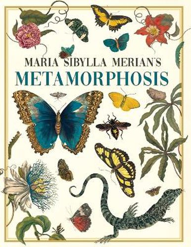 Cover image for Maria Sibylla Merian's Metamorphosis