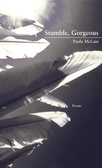 Cover image for Stumble, Gorgeous
