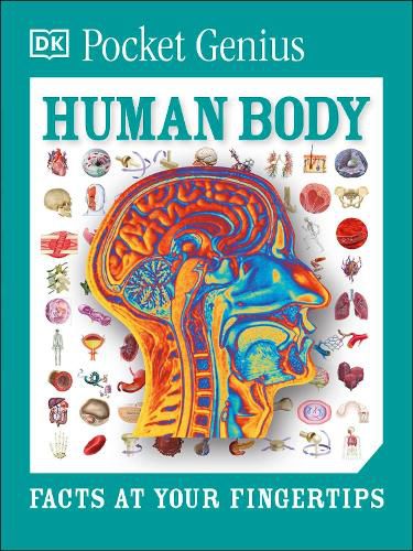 Cover image for Pocket Genius: Human Body: Facts at Your Fingertips