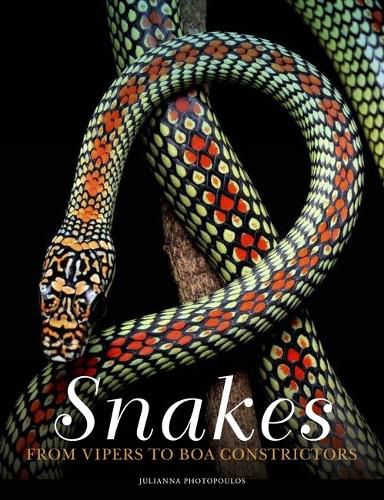 Cover image for Snakes