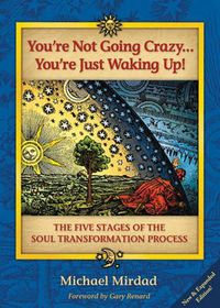 Cover image for You'Re Not Going Crazy...You'Re Just Waking Up!: The Five Stages of Soul Transformation Process