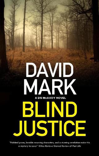 Cover image for Blind Justice