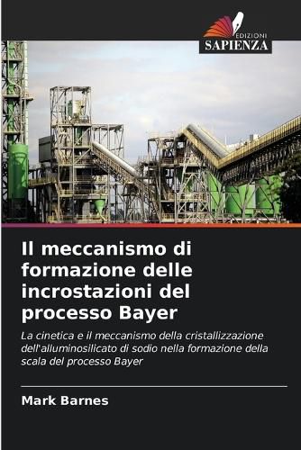 Cover image for Il meccanismo di formazione delle incrostazioni del processo Bayer