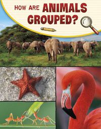 Cover image for How Are Animals Grouped?