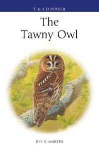 Cover image for The Tawny Owl