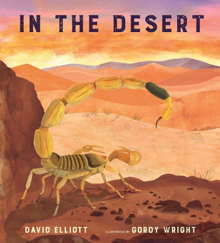 Cover image for In the Desert