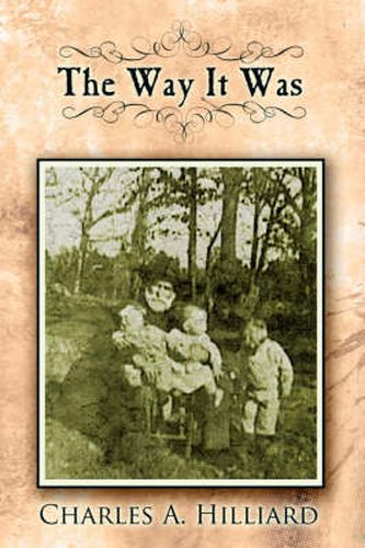 Cover image for The Way It Was