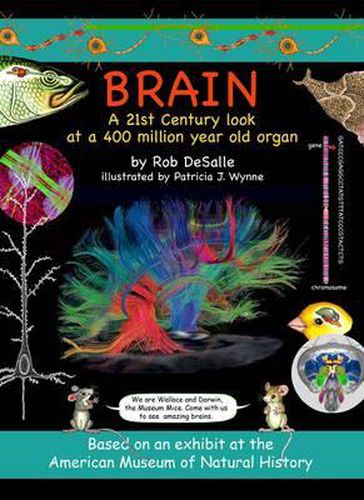 Cover image for Brain