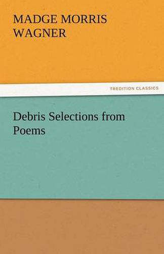 Cover image for Debris Selections from Poems