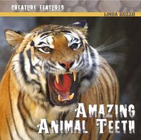 Cover image for Amazing Animal Teeth