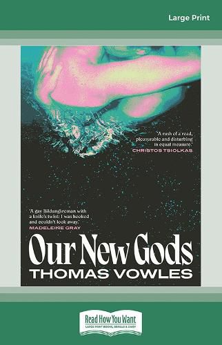 Cover image for Our New Gods