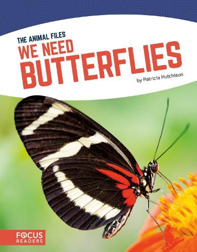 Cover image for Animal Files: We Need Butterflies