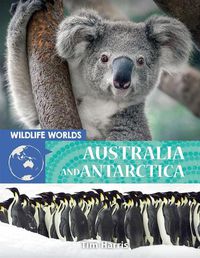 Cover image for Wildlife Worlds Australia and Antarctica
