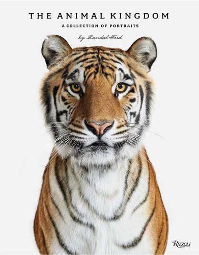 Cover image for The Animal Kingdom
