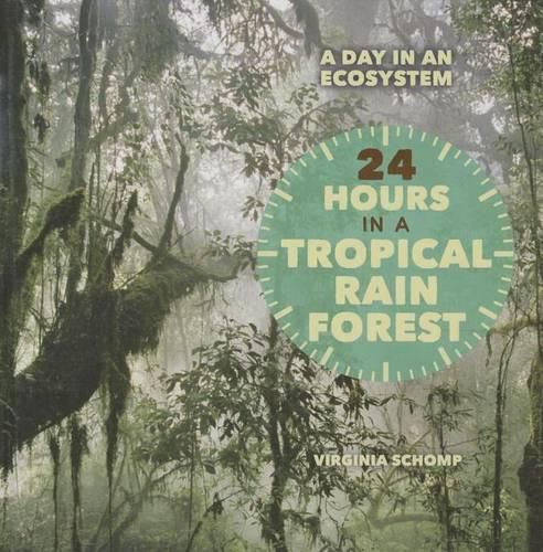 Cover image for 24 Hours in a Tropical Rain Forest