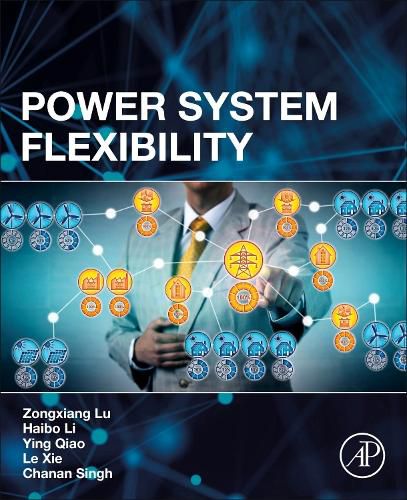 Power System Flexibility