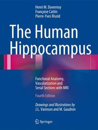 Cover image for The Human Hippocampus: Functional Anatomy, Vascularization and Serial Sections with MRI