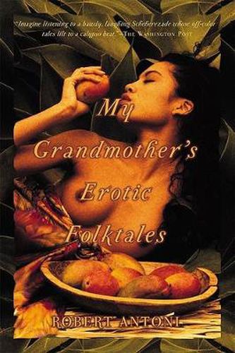 Cover image for My Grandmother's Erotic Folktales