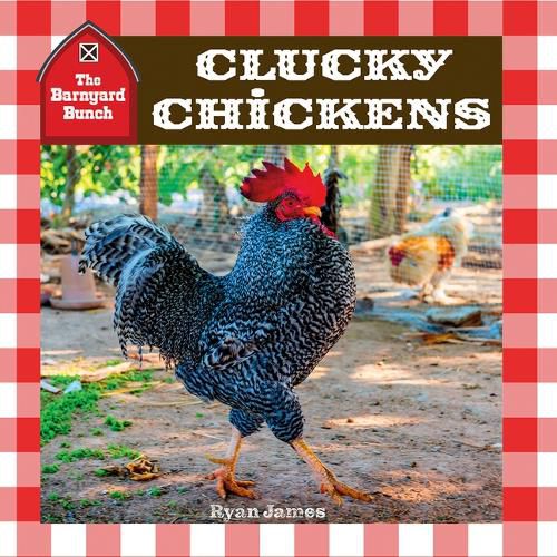 Cover image for Clucky Chickens