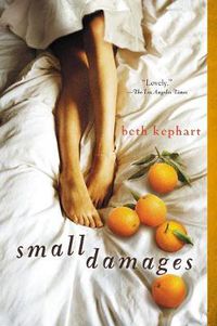 Cover image for Small Damages
