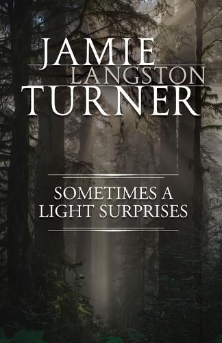 Cover image for Sometimes a Light Surprises