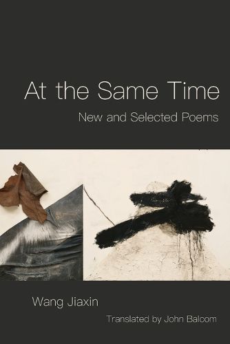 Cover image for At the Same Time