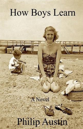 Cover image for How Boys Learn