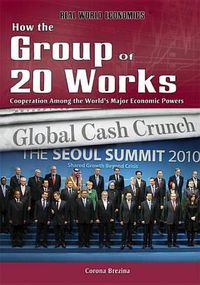 Cover image for How the Group of 20 Works