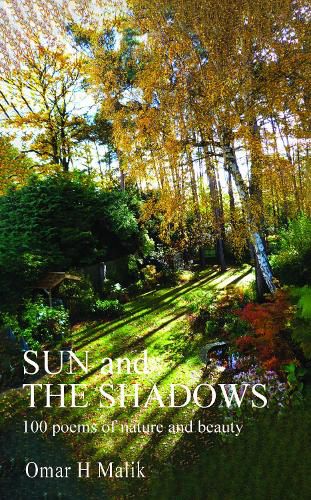 Cover image for Sun and The Shadows