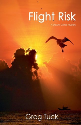 Cover image for Flight Risk