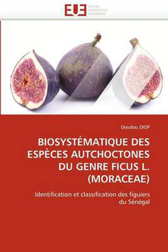 Cover image for Biosystematique Des Especes Autchoctones Du Genre Ficus L.(Moraceae)