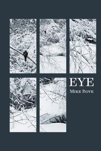 Cover image for Eye