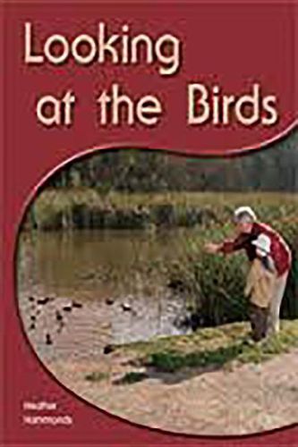 Cover image for Looking at the Birds: Leveled Reader (Levels 6-7)