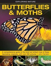 Cover image for Exploring Nature: Butterflies & Moths