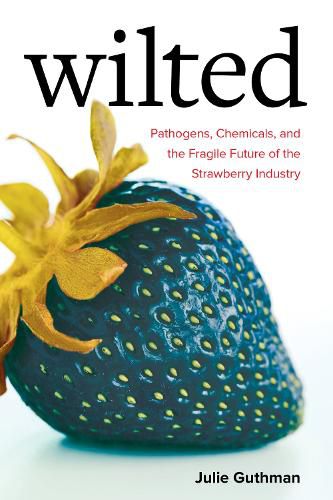 Cover image for Wilted: Pathogens, Chemicals, and the Fragile Future of the Strawberry Industry