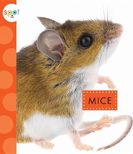 Cover image for Mice