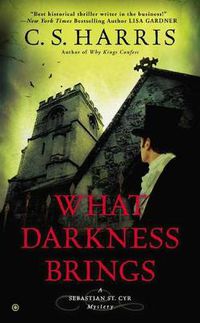 Cover image for What Darkness Brings