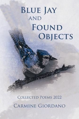 Cover image for Blue Jay and Found Objects