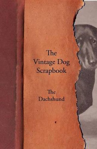 Cover image for The Vintage Dog Scrapbook - The Dachshund