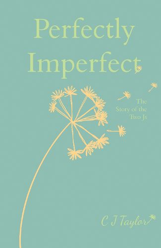 Cover image for Perfectly Imperfect