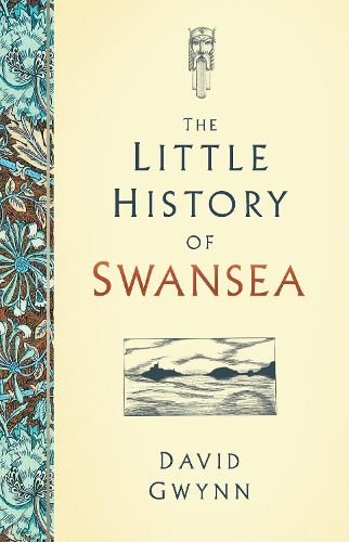 Cover image for The Little History of Swansea