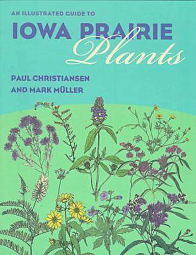 Cover image for An Illustrated Guide to Iowa Prairie Plants