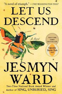 Cover image for Let Us Descend