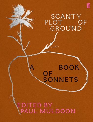 Cover image for Scanty Plot of Ground