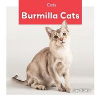 Cover image for Burmilla Cats